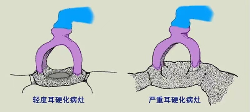 202410302041552659.Jpeg